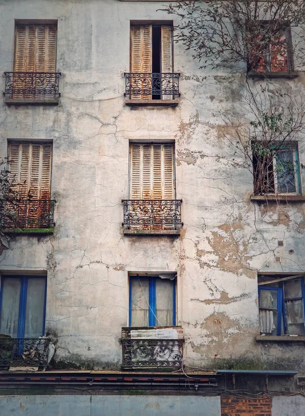 Abandoned Building Facade Trees Bushes Growing Out Windows Rusted Louvers — Stock Photo, Image