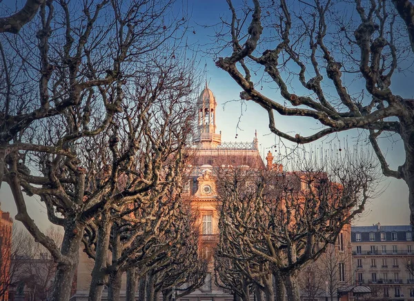 在公园的室外小巷里 通过无叶的番石榴树 可以看到阿斯涅雷斯市政厅 法国西北部的塞纳河畔的阿斯利斯河畔 在夕阳西下的后花园外立面 — 图库照片