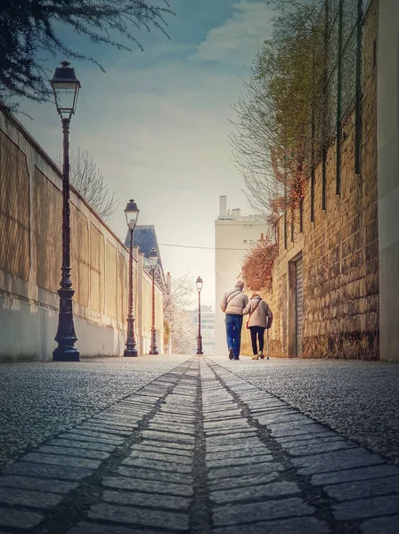 シニアカップル一緒に屋外を歩く 健康的なライフスタイル 古い愛の概念 幸せな古いペアは パリ郊外 フランスのAsnieres Sur Seineの町の路地を歩く — ストック写真