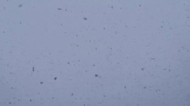 Gökten yağan kar taneleri ile kar sahnesi. Kış fırtınası ve gevrek hareketli doku