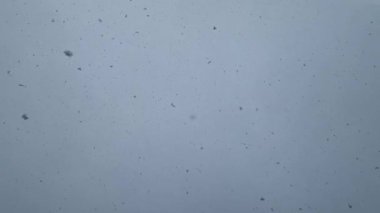 Gökten yağan kar taneleri ile kar sahnesi. Kış fırtınası ve gevrek hareketli doku