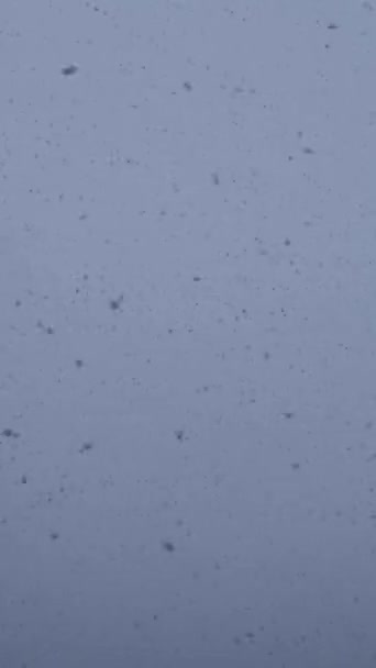 雪の結晶が空から降ってくる雪景色 冬の吹雪垂直背景 風合いが動くフレーク — ストック動画