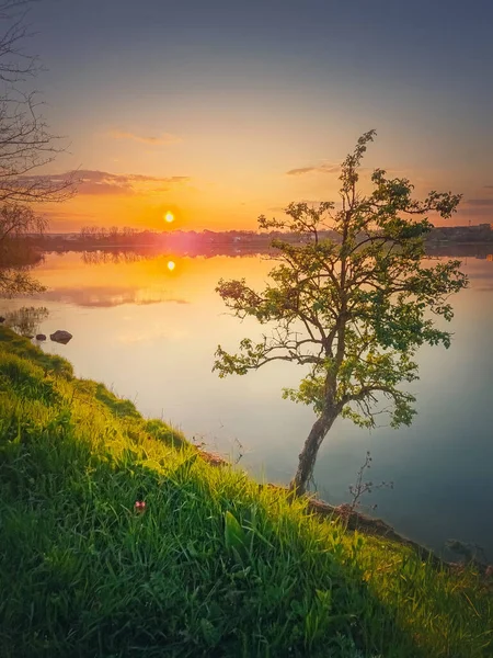 Výjev Západu Slunce Jezera Jediným Stromem Kopci Zářící Západ Slunce — Stock fotografie