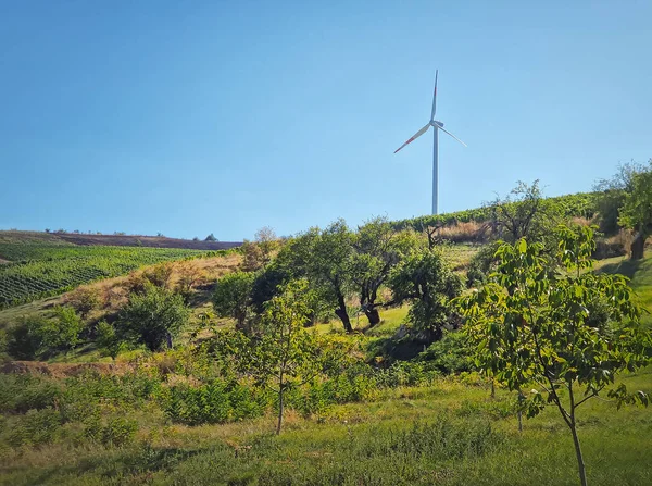 Wind Turbine Top Hill Country Valley Vineyard Fruit Trees Green — Stock Photo, Image