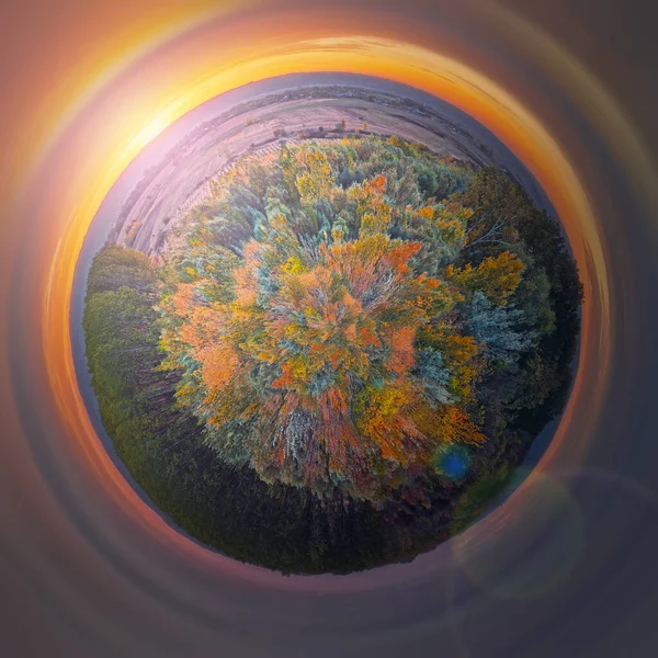 Planeta Pitorească Toamnă Peisaje Frumoase Toamnă Copaci Plini Culoare Apus fotografii de stoc fără drepturi de autor