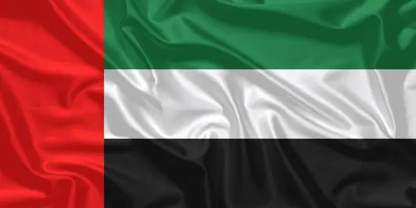 Birleşik Arap Emirlikleri Bayrağı Rüzgarda Dalgalanıyor