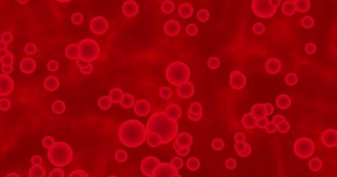 Canlandırılmış kan hareket eden mikroskop