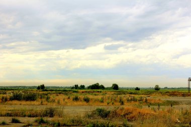 Buğday tarlalı manzara ve bulutlu mavi gökyüzü