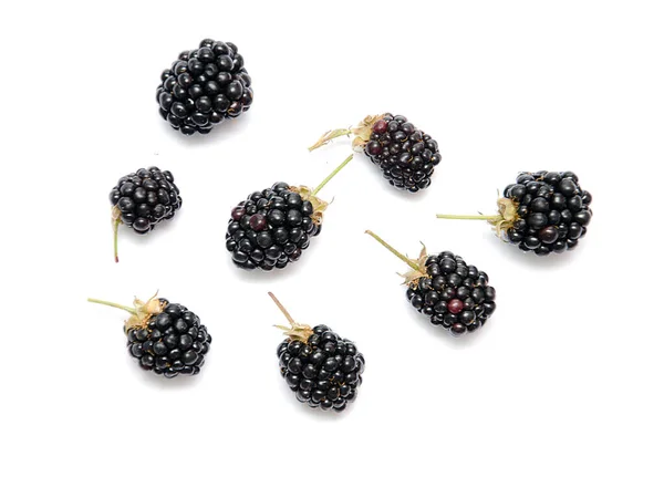 黑色多汁的黑莓散布在白色的背景上 黑莓果 — 图库照片