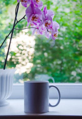 Pencere kenarında, vazo dolusu orkidelerle süslenmiş beyaz bir bardak.