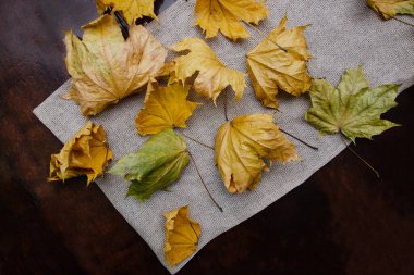 Sonbahar yaprakları. kuru, çok renkli, Gri çuval bezi üzerinde sonbahar yaprakları, sonbahar yapraklı arka plan