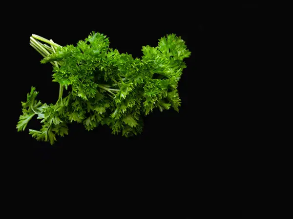 パセリ グリーン パセリの新鮮な葉 黒い背景 — ストック写真