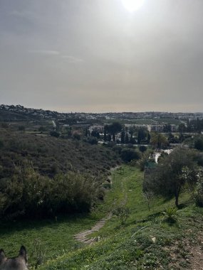 Bir tarlanın yüksek açılı görüntüsü ve güneş ışığı altındaki ağaçlar.