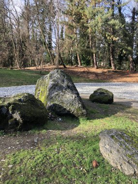 Parkta büyük taşlar var.