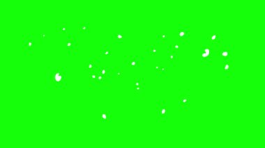 duman animasyonu yeşil ekranda