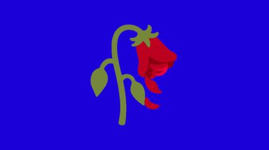 Mavi ekranda gül animasyonu