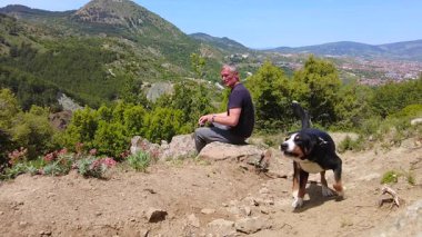 Bir adam, bir köpeğin dağa uzun bir tırmanıştan sonra tozdan kurtuluşunu izler..