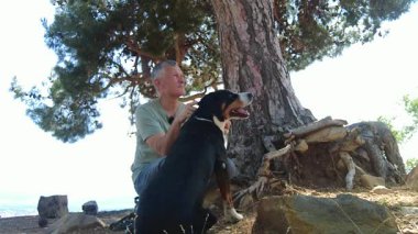 Bir Entlebucher Dağ Köpeği ve sahibi sıcak bir yaz gününde büyük bir ağacın gölgesinde oturup harika bir yürüyüşten sonra dinlenirler..