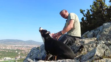 Bir Entlebucher Dağ Köpeği, sabah yürüyüşü sırasında sahibiyle yüksek bir kayaya tırmanarak tozdan kurtulmaya karar verdi..