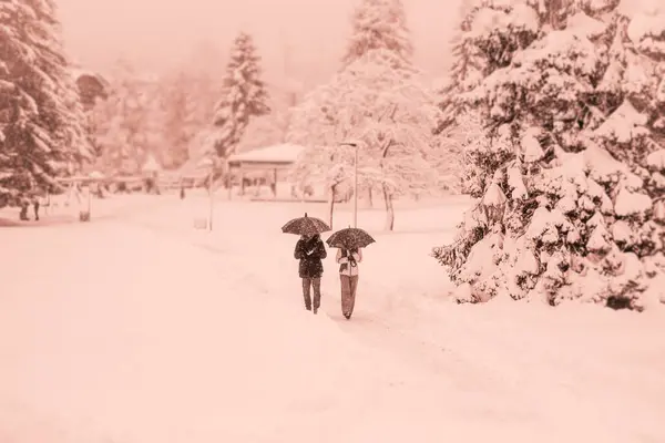 Karla kaplı güzel kış manzarası