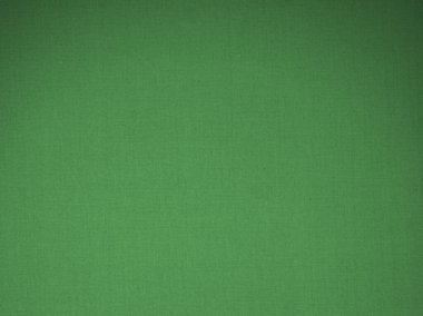 yeşil deri dokusu. arka plan olarak yararlı