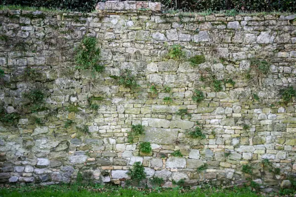 Yeşil çimenli taş duvar