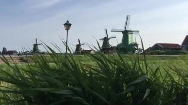 Amsterdam yakınlarındaki Hollanda 'da taşınan ve dönen birkaç eski yel değirmeninin çimlerine bakın. Zaanse Schans 'ın turistik cazibesi rüzgarın sürdürülebilir temiz enerji ürettiğini ve un ürettiğini gösteriyor..
