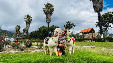 Genç beyaz kadın, seyahati sırasında fotoğraf çekilirken geleneksel Peru tarzında süslenmiş iki tatlı pofuduk alpakanın tadını çıkarıyor. Peru 'da Huaraz' a yakın bir parkta yapıldı.
