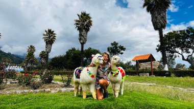Peru 'da Huaraz' a yakın bir parkta çekilen ve geleneksel Peru tarzında süslenmiş iki sevimli alpaka arasında poz veren genç beyaz kadın.