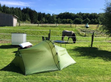 Almanya 'da arka planda atlar olan yeşil arazi kamp manzarasına bakın. Hayvani manzaralı çimen tarlasında küçük yeşil çadır, aile dostu.