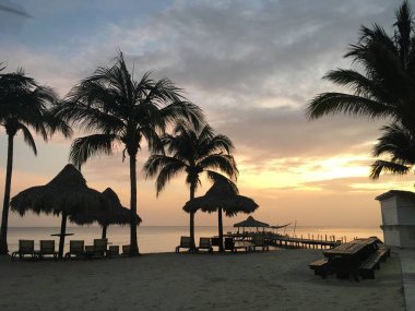Gün batımının güzel yaz tatili manzarası bir kartpostal gibi. Palmiye ağaçları, şemsiyeler, güneş yatakları ve Dominik Cumhuriyeti 'nde hiç bitmeyen okyanus manzarası. Rüya tatili konsepti