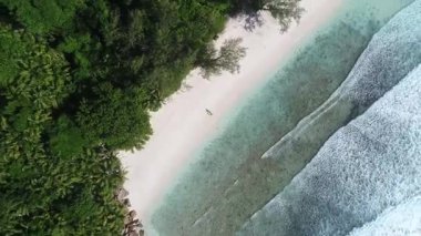 Ada La Dique 'deki güzel tropikal plajın ve Seyşeller' deki Coco sahilindeki büyük palmiye yaprağının yanında bikinili kadının hava görüntüleri. İHA 'yı kapatın, dönerken ve yavaşça modele yaklaşırken..