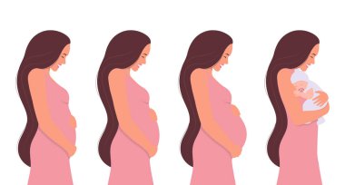 Hamilelik aşamaları. Hamileliğin birinci, ikinci ve üçüncü trimesterlerinde gülümseyen güzel bir kadın ve yeni doğmuş bir bebek. Düz bir şekilde vektör illüstrasyonu. Beyaz bir arkaplanda izole edilmiş.