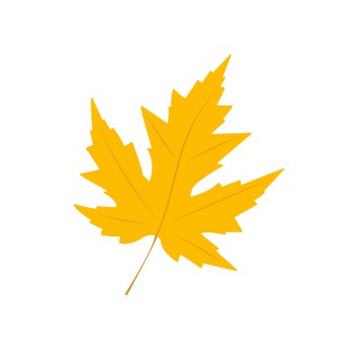 Sarı akçaağaç yaprağı. Beyaz bir arka planda izole edilmiş. Düz biçim