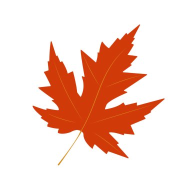 Kırmızı akçaağaç yaprağı. Beyaz bir arka planda izole edilmiş. Düz biçim