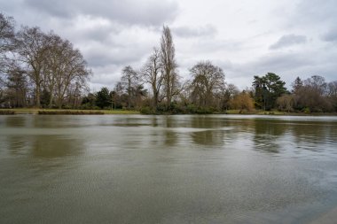 Sakin sular bulutlu gökyüzünü yansıtırken ağaçlar sakin nehir kıyısını çevreleyip bu sakin öğleden sonra huzurlu doğal ortamda sakin bir atmosfer yaratıyor..