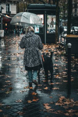 Bir kadın köpeğini yağmurlu bir caddede, hareketli bir şehirde gezdirir. Kendini yağmurdan korumak için şeffaf bir şemsiye kullanırken yapraklar kaldırımı kaplıyor..