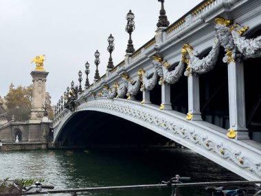 Süslü köprüde, Paris 'te sakin bir nehir boyunca uzanan korkuluklar boyunca altın heykeller ve karmaşık heykeller yer alıyor. Bulutlu gökyüzü ziyaretçiler için sakin bir atmosfer yaratıyor.