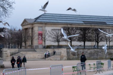 Ziyaretçiler alacakaranlıkta sakin bir şehir ortamında patikalarda yürürken martılar bir parkta çırpınıyor. Ağaçlar çıplak durur, kışları soğuk gösterir..