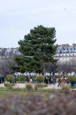 Ziyaretçiler Paris 'te canlı yeşillik ve zarif mimari ile çevrili bir parkta sakin bir öğleden sonra atmosferi sergileyerek sakin bir yürüyüş yapıyorlar..