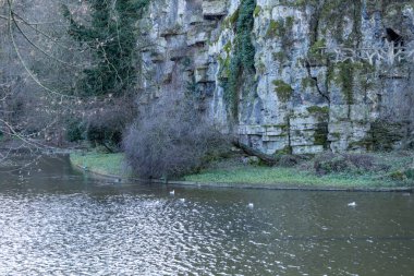 Yeşillik, Parc des Buttes-Chaumont 'ta sakin bir su kütlesini çevreleyerek güzel kaya oluşumlarını ve barışçıl doğayı ön plana çıkarır. Kuğular yüzeyde zarifçe süzülür..