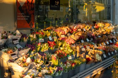 Canlı bir çiçek pazarı cadde boyunca kovalarla dizilmiş çeşitli çiçek çeşitlerini sergiliyor. Sahne, akşam güneşinin yumuşak parıltısıyla aydınlanır ve çiçeklerin renkleri artar. Buketler