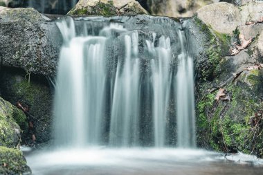 Huzurlu bir şelale yosun kaplı kayaların üzerinden sorunsuzca akar ve yemyeşil bir ortamda rahatlatıcı bir atmosfer yaratır. Su zarifçe hareket eder ve yumuşak sesler çıkarır.