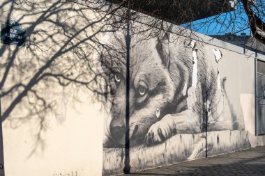 Paris, Fransa-14.01.2025 Bir kurdun çarpıcı duvar resmi şehir duvarında duruyor, sanatla şehir ortamını harmanlıyor. Ağaçların gölgeleri günışığı altındaki sanat eserlerine derinlik ve entrika ekler..
