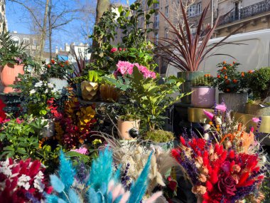 Paris, Fransa-23.02.2025 Canlı bir çiçek pazarı çeşitli renkli çiçekler ve yeşil bitkiler sergiliyor, neşeli bir şehirde güneşli bir günde güneşleniyorlar..