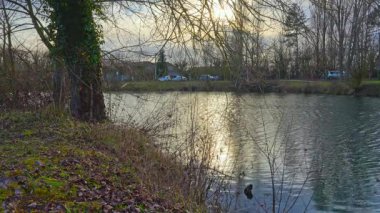 Ziyaretçiler, yemyeşil yemyeşil suların ve doğanın sakinleştirici sesiyle çevrili, yumuşak güneş ışığının sularda parıldadığı huzurlu bir nehir kenarı yolunu keşfeder..