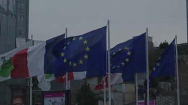 Puteaux, Fransa-14.2024 Soğuk kış rüzgârında dalgalanan bir bayraklar koleksiyonu, çeşitli Avrupa ülkeleri arasında canlı bir şehirde birlik ve işbirliği ruhunu sembolize ediyor..