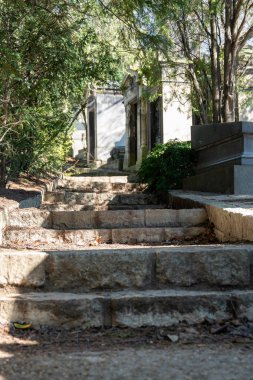 Paris, Fransa-02-03-2025 Sarmal taş basamaklar Pere Lachaise Mezarlığı 'ndaki sükunet ortamından geçerek yemyeşil ve tarihi eserlerin arasında yansımaya yol açıyor..