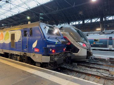 Paris, Fransa-05-03-2025 Yoğun bir tren istasyonunda yan yana duran iki gösterişli tren, modern tasarımı banliyö ve seyahat heyecanına karşı sergiliyor..