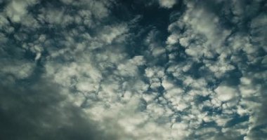 Tüylü, beyaz stratocumulus bulutlarının zamanlaması. Arka planda mavi gökyüzü var.